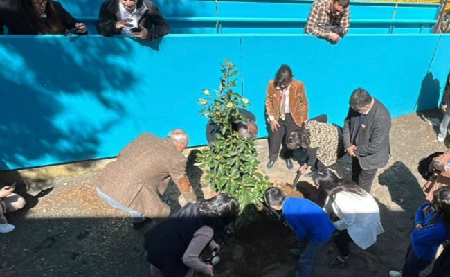 Escuela San Francisco de Cunco Chico inaugura su última etapa de infraestructura